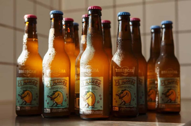 Copenhagen: Locally Brewed Kombucha Tasting Experience - Weighing the Pros and Cons