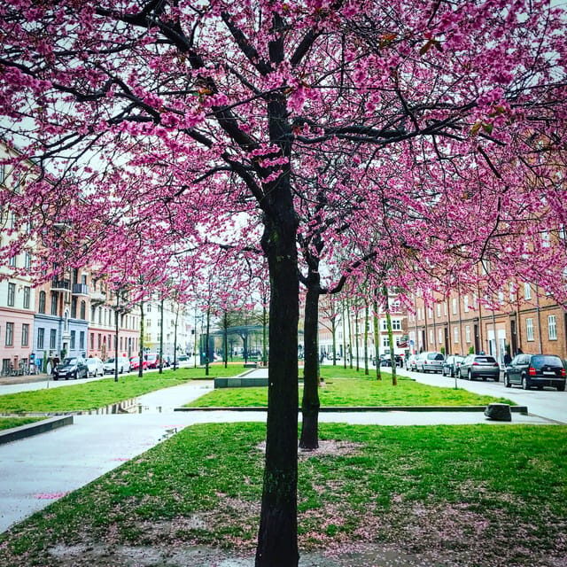 Copenhagen: Politically Incorrect Beer Tasting Walking Tour - Is This Tour Worth It?