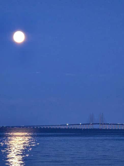 Copenhagen: Private Christmas Boat Tour - Pricing and Value