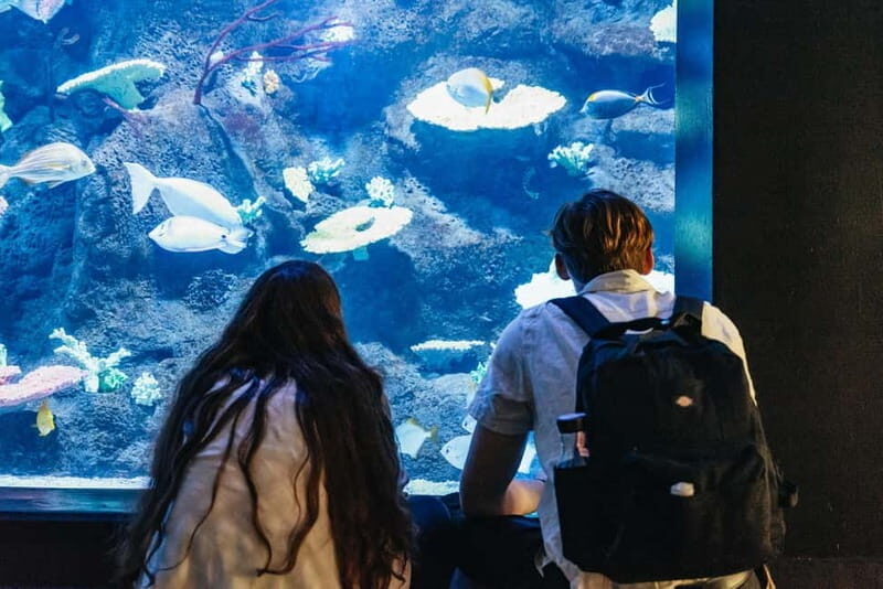 Copenhagen: Tivoli Gardens Entry Ticket - Introduction