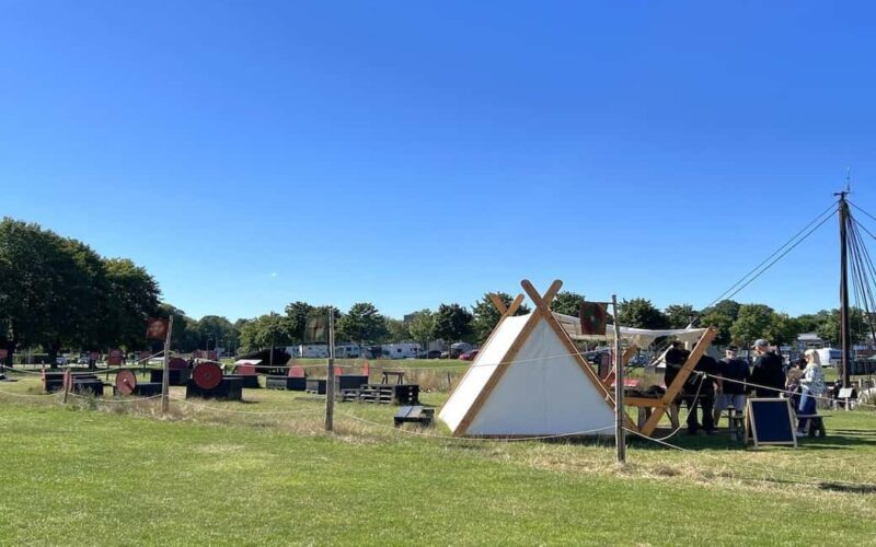 Copenhagen: Tour of Roskilde, the Viking city in Spanish - Key Points