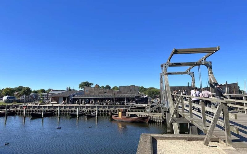 Copenhagen: Tour of Roskilde, the Viking city in Spanish - Dive into the Details: What to Expect on This Tour