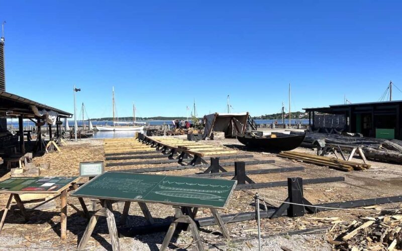 Copenhagen: Tour of Roskilde, the Viking city in Spanish - Analyzing the Value and Practicalities