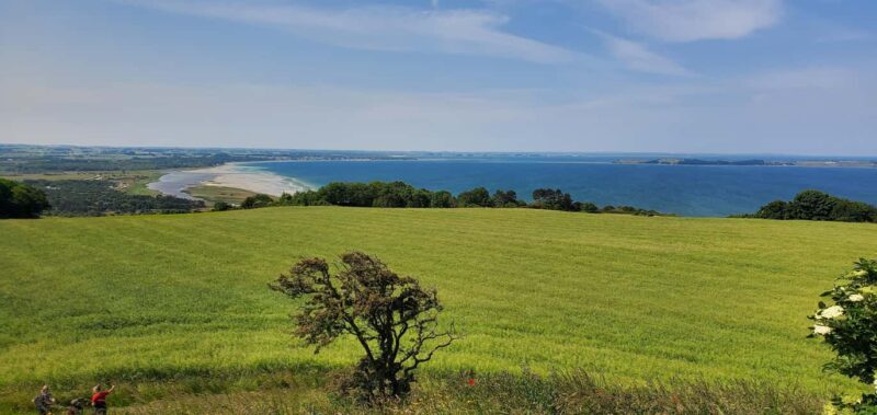 Copenhagen: Vejrhøj Arch Hike with Wine Tasting & Lunch - Key Points