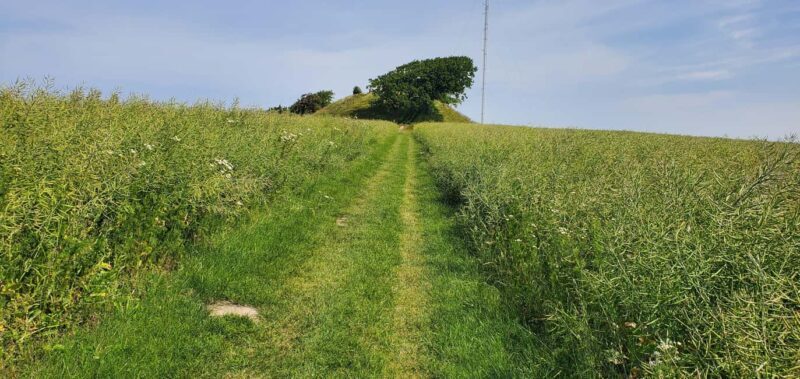 Copenhagen: Vejrhøj Arch Hike with Wine Tasting & Lunch - Visiting the Organic Winery