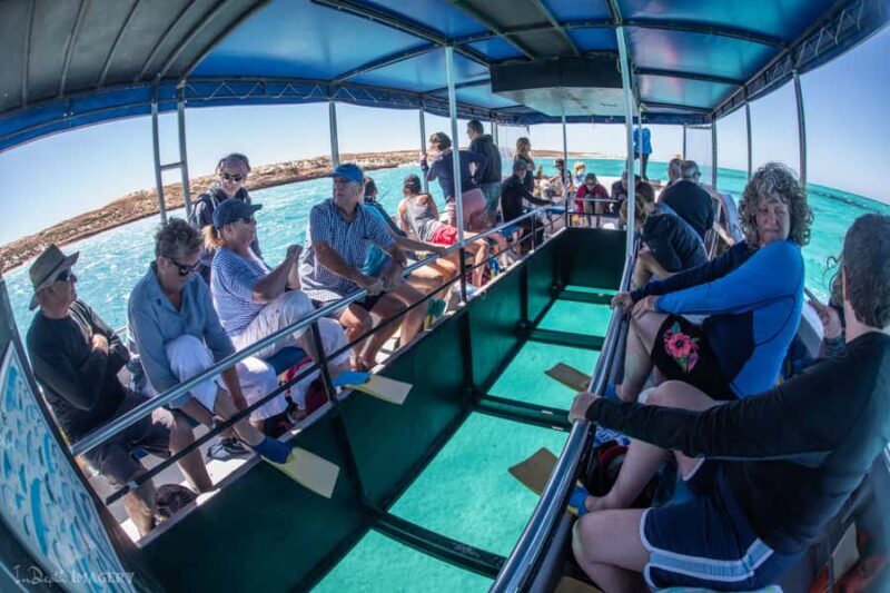 Coral Bay: 2-Hour Coral Viewing and Snorkeling - What to Expect from the Coral Bay Snorkel & Reef Tour