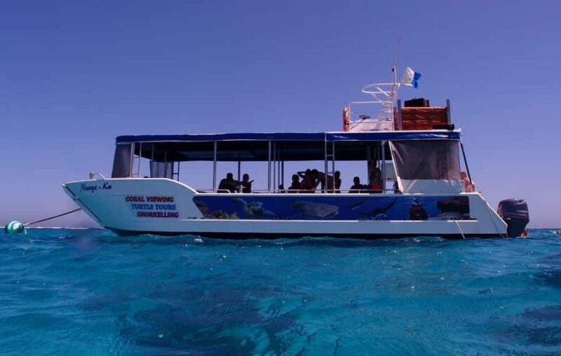 Coral Bay: 2-Hour Coral Viewing and Snorkeling - Who This Tour Suits Best