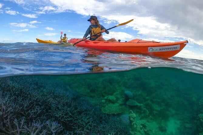 Coral By Kayak - Ningaloo Reef Half Day Kayak & Snorkel Tour - The Value of This Tour