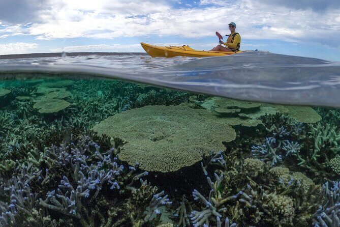 Coral By Kayak - Ningaloo Reef Half Day Kayak & Snorkel Tour - Weather and Cancellation Policies