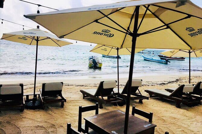 Coral Reef Snorkeling Expedition from Cancun with Beachside Lunch - Who Is This Tour Best For?