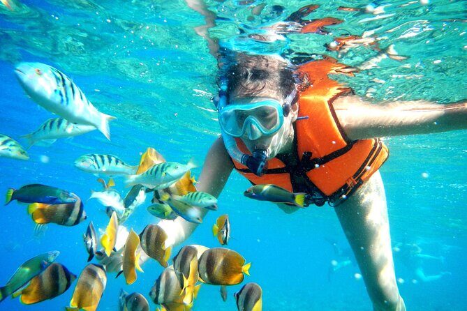 Coral Reef Snorkeling Expedition from Cancun with Beachside Lunch - FAQs