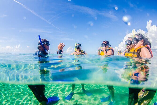 Coral Reef Snorkeling Expedition from Cancun with Beachside Lunch - The Itinerary and What You Can Expect