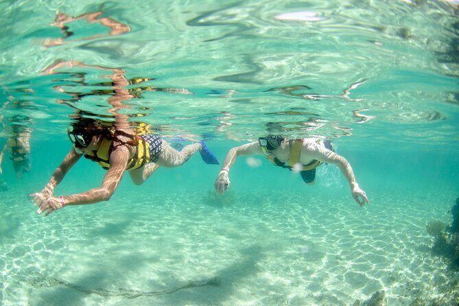 Coral Reef Snorkeling Expedition from Cancun with Beachside Lunch - Who Should Consider This Tour?