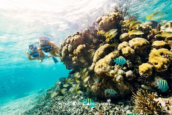 Coral Reef Snorkeling Expedition from Cancun with Beachside Lunch - FAQ