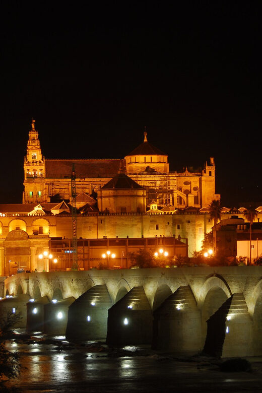 Cordoba at Night by Bike, Electric Bike - What You Should Know Before Booking