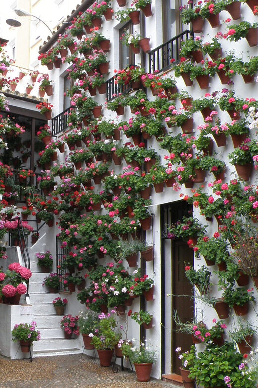 Cordoba Courtyards by Bike, Electric Bike - Key Points