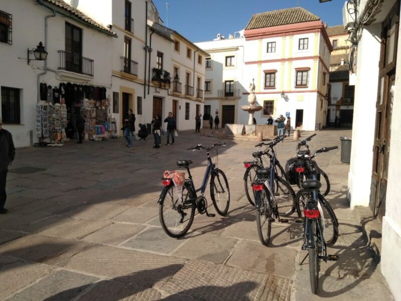 Córdoba Daily Highlights Bike Tour - Key Points