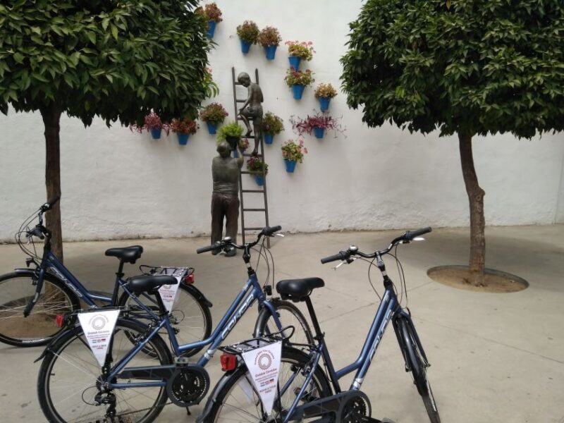 Córdoba Daily Highlights Bike Tour - The Real Experience: What Makes It Stand Out