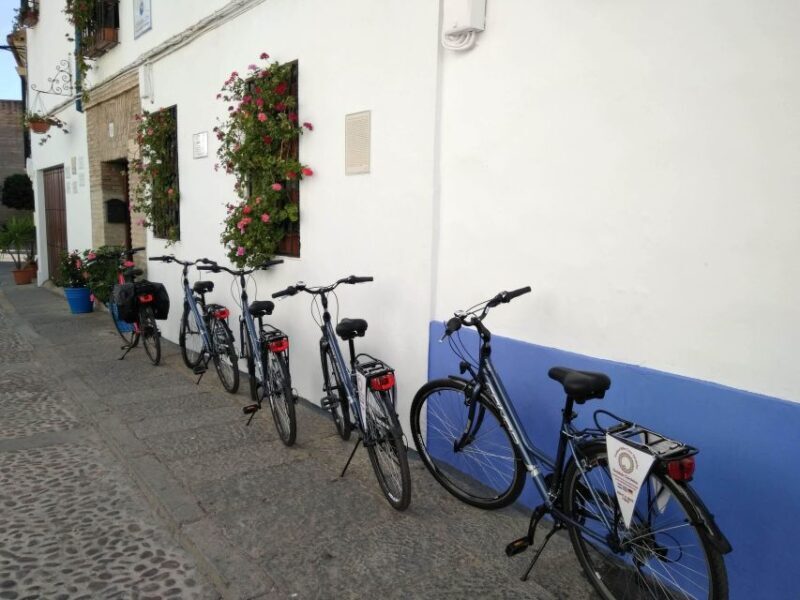 Córdoba Daily Highlights Bike Tour - Final Thoughts