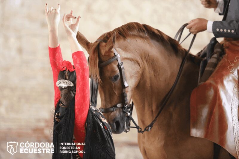 Cordoba: Equestrian Show General Entry - Key Points