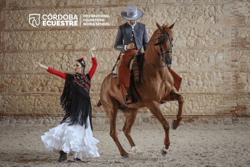 Cordoba: Equestrian Show General Entry - What you actually see: dressage, vaquera, and Alta Escuela fused with flamenco