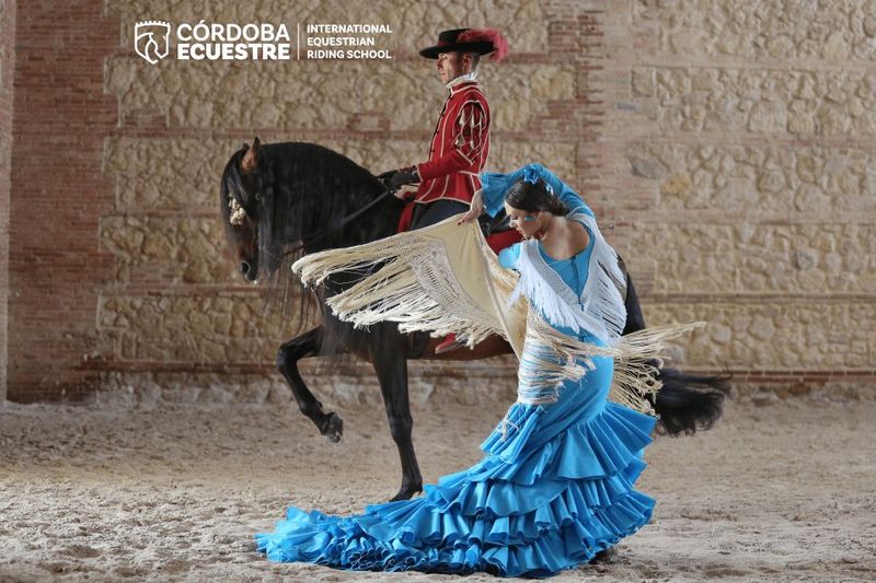 Cordoba: Equestrian Show General Entry - The rules: cameras, video, drinks, and how strict it is