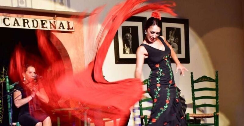 Córdoba: Flamenco Show Ticket with Drinks - Key Points