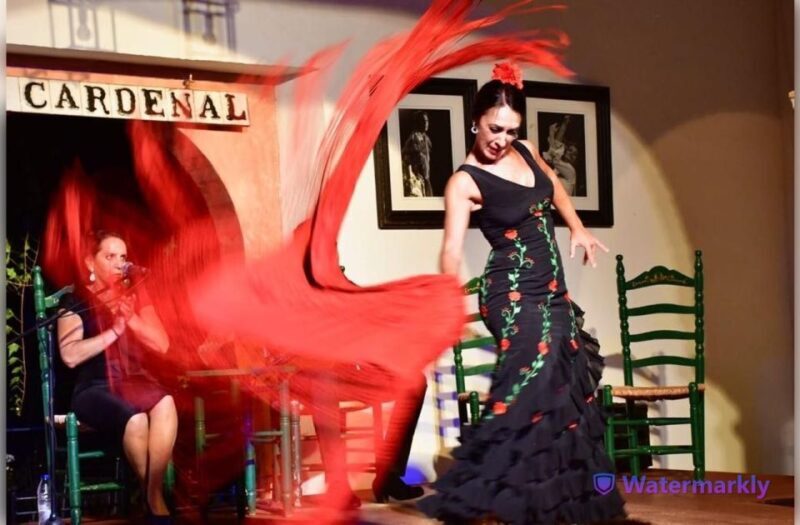 Córdoba: Flamenco Show Ticket with Drinks - The Experience in Detail