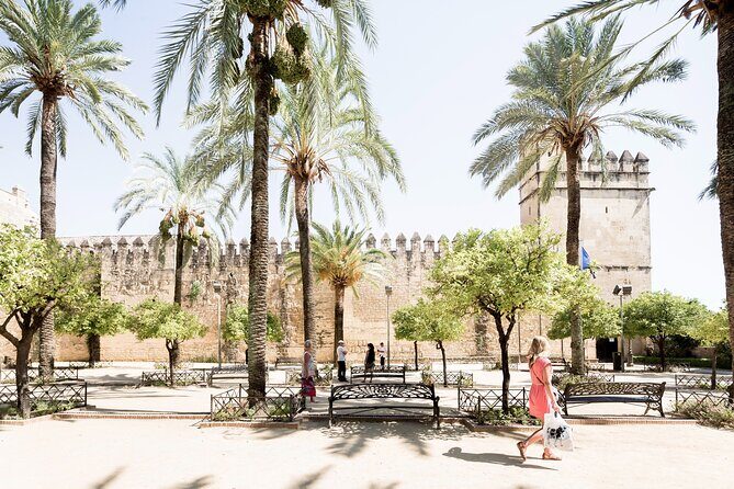 Cordoba Full Day Trip with Mosque Entrance from Costa del Sol - Price and Value for Money