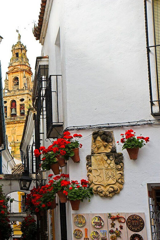 Cordoba Guided Day Trip from Seville - What to Expect on Your Day Trip to Cordoba