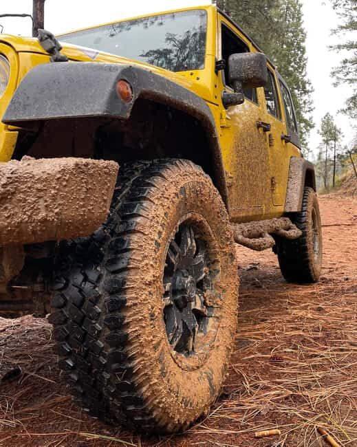 Cordoba: Guided Jeep Tour in Stanislaus National Forest - What to Expect on the Jeep Tour