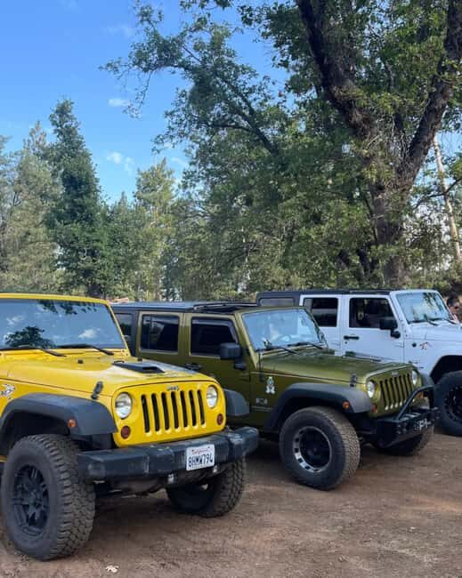 Cordoba: Guided Jeep Tour in Stanislaus National Forest - What We Liked & Potential Drawbacks