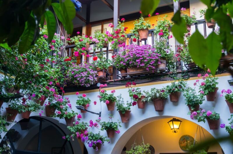 Córdoba: Guided tour in Spanish to the courtyards of Córdoba - FAQ