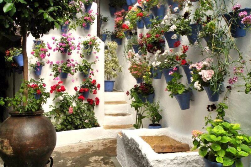 Córdoba: Guided Tour of the Patios - Key Points