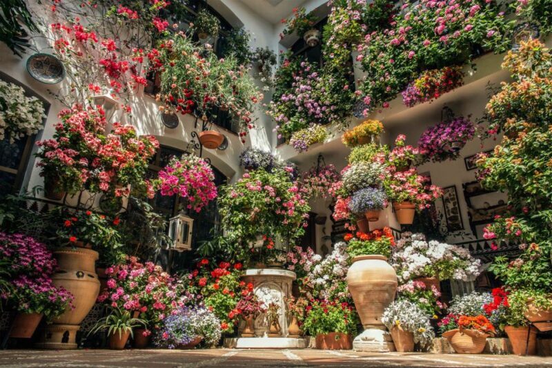 Córdoba: Guided Tour of the Patios - FAQ