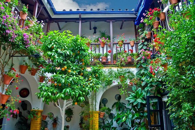 Cordoba Guided Tour with Mosque /Cathedral from Seville - Final Thoughts