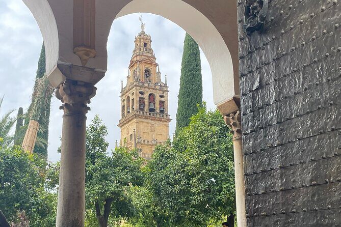 Cordoba Highlights Private Walking Tour - A Closer Look at the Córdoba Highlights Private Walking Tour