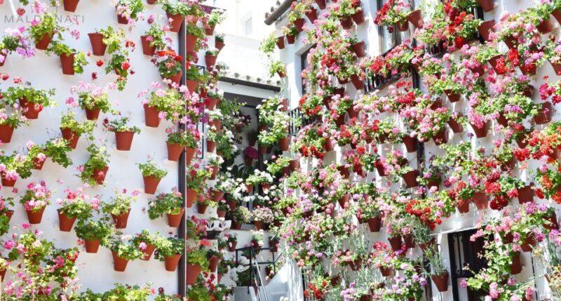 Córdoba Highlights Walking Tour - Who Should Consider This Tour?