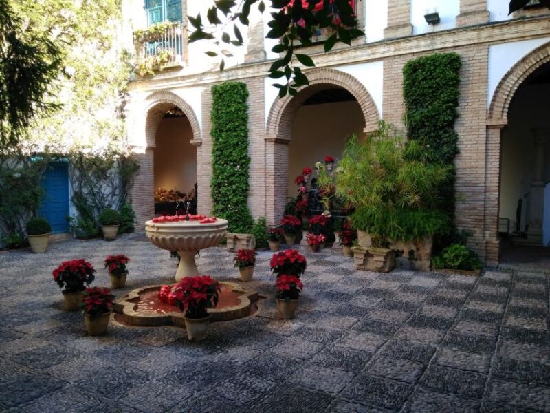 Córdoba Highlights Walking Tour - FAQs About the Córdoba Highlights Walking Tour