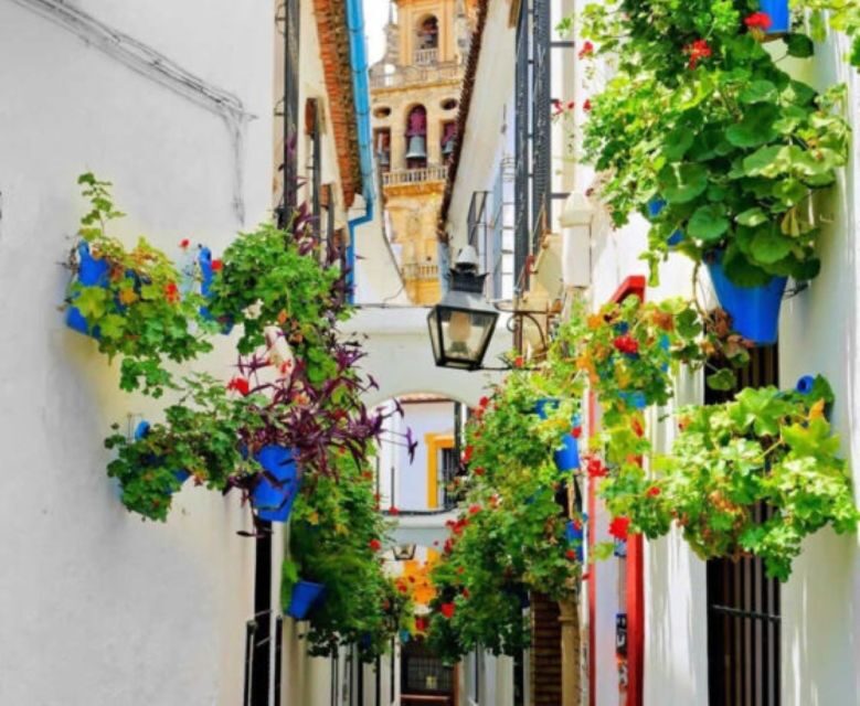 Cordoba: Historical Monuments of Cordoba City Walking Tour - What to Expect from the Córdoba Monuments Tour