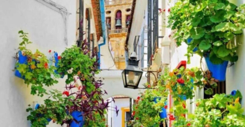 Cordoba: Historical Monuments of Cordoba City Walking Tour - Whats Included and What to Keep in Mind