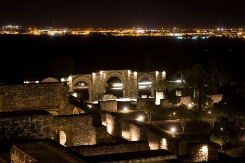 Cordoba: Medina Azahara Night Tour without transport - Who Is This Tour Best For?