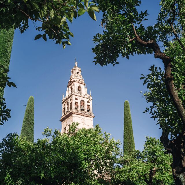 Córdoba Monumental desde la Costa del sol - The Sum Up