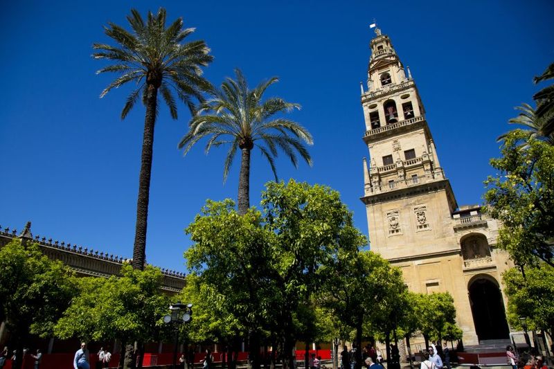 Córdoba: Mosque-Cathedral, Jewish Quarter and Alcázar Tour - Time management: where the tour feels fast, and where it feels tight