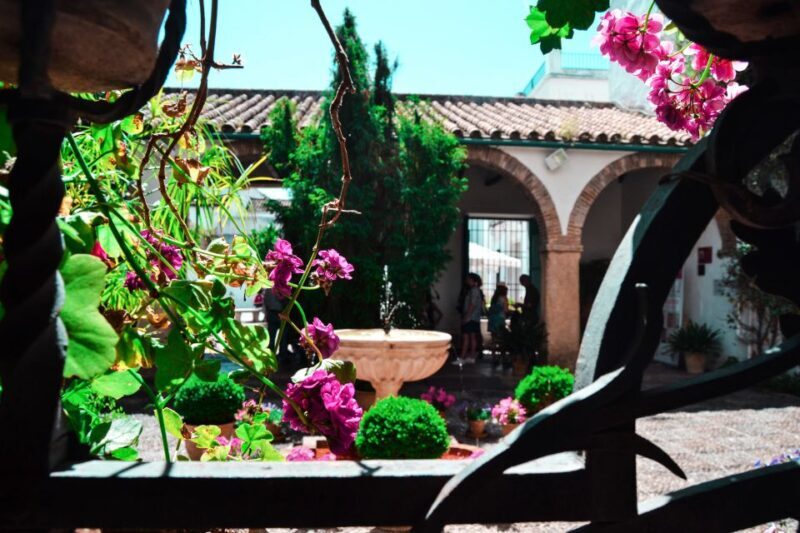 Cordoba: Patios and Viana Palace Tour - An Honest Look at the Tour Experience