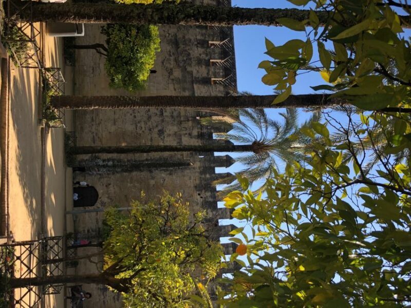 Córdoba: Private Bike Highlights Tour with Personal Guide - Price and Value Analysis