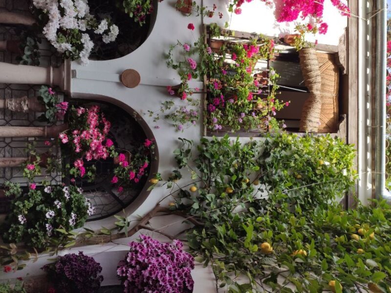 Córdoba: Private Bike Highlights Tour with Personal Guide - FAQ