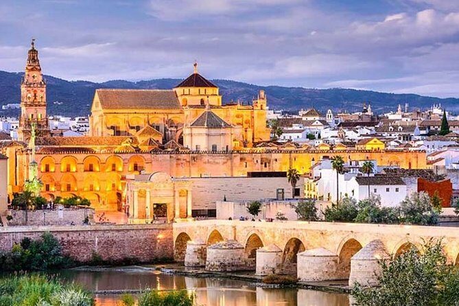 Cordoba private tour from Seville including the great Mosque for up to 8 persons - Who Should Consider This Tour?