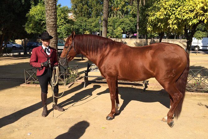 Cordoba Private Tour with Mosque Entrance from Seville - Practical Tips and Considerations