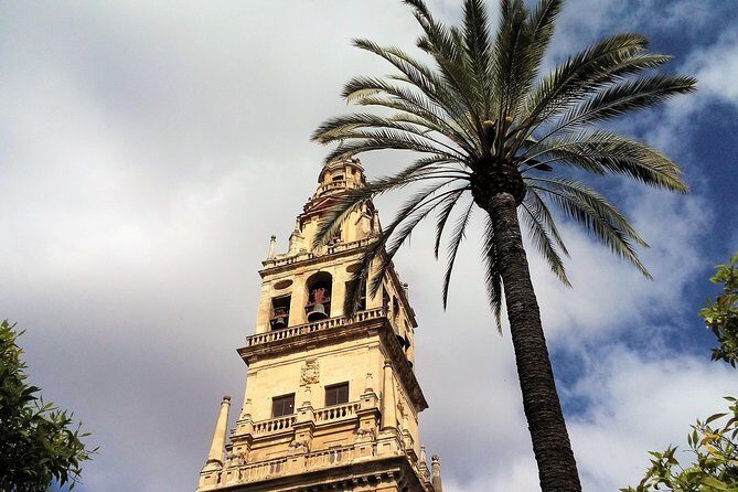 Cordoba Private Walking Tour - Who Should Consider This Tour?